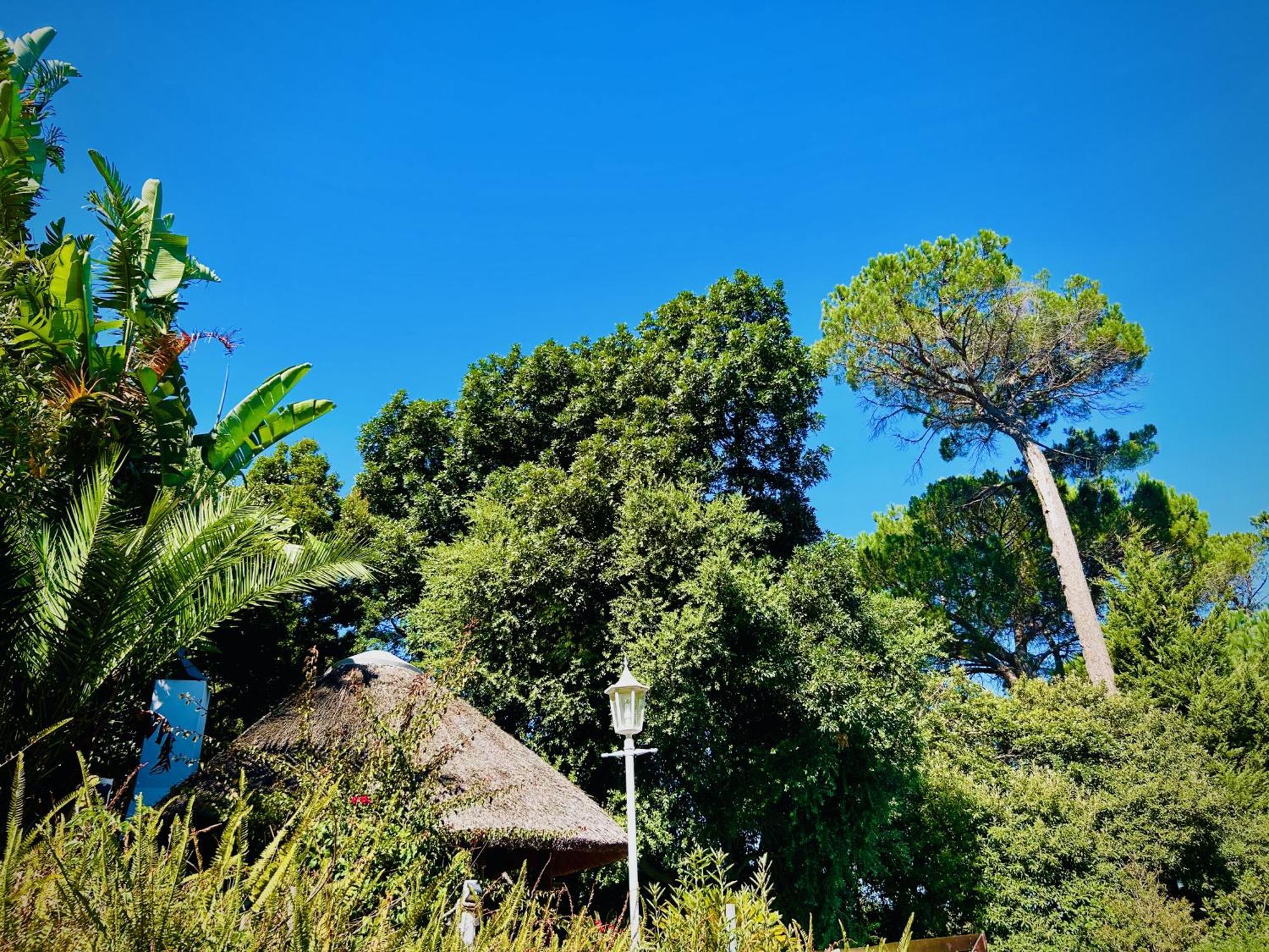 Villa Helderberg Somerset West Buitenkant foto